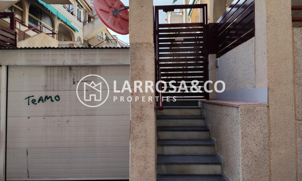 Reventa - Planta baja - Torrevieja - Acequion