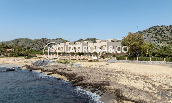 Новостройка - Дом - Cuevas Del Almanzora - Cala Panizo