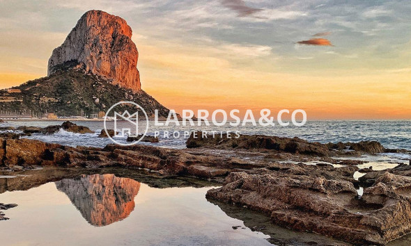 New build - Apartment - Calpe - Playa Cantal Roig