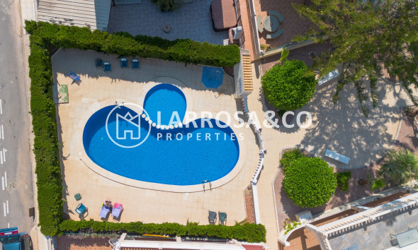 Вторичный рынок - Дом - Торревьеха - Zona los Frutales