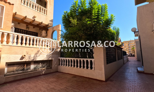 Вторичный рынок - Квартира - Торревьеха - torrevieja