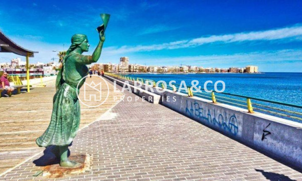 Obra Nueva - Apartamento - Torrevieja - Habaneras