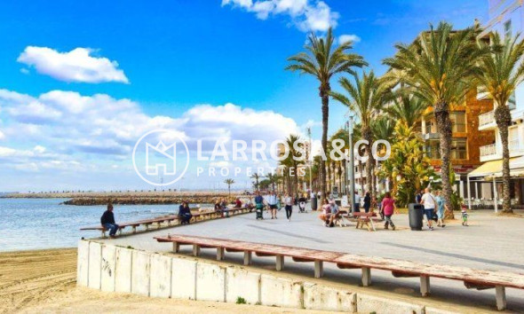 Obra Nueva - Apartamento - Torrevieja - Habaneras