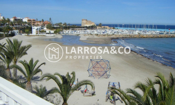 Nouvelle Construction - Villa - Pilar de la Horadada - pueblo