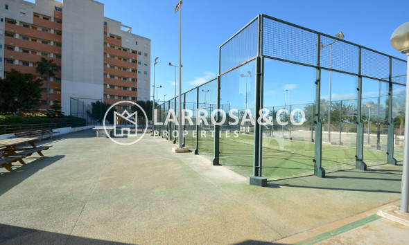 A Vendre - Apartment - Guardamar del Segura - SUP 7