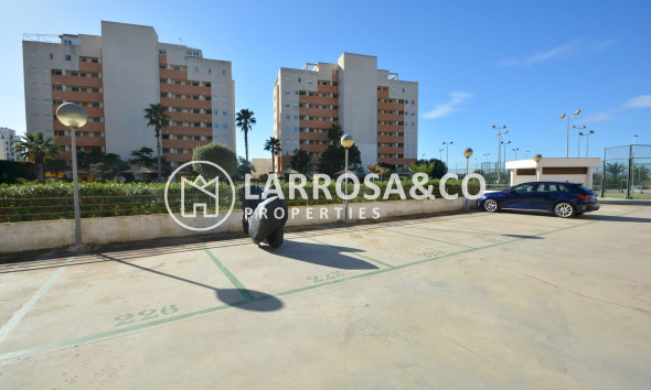 A Vendre - Apartment - Guardamar del Segura - SUP 7