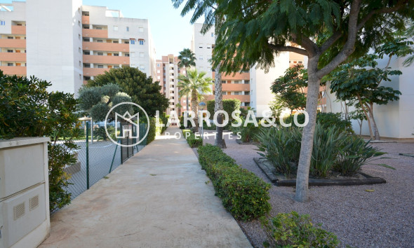 A Vendre - Apartment - Guardamar del Segura - SUP 7