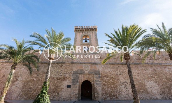 New build - Apartment - Santa Pola - Estacion de autobuses