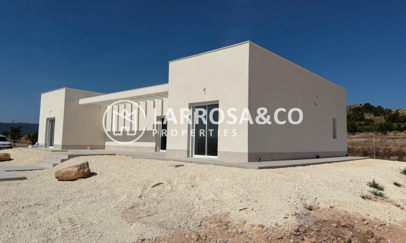 New build - Detached House/Villa - Pinoso - Camino Del Prado