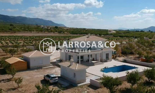 New build - Detached House/Villa - Pinoso - Camino Del Prado