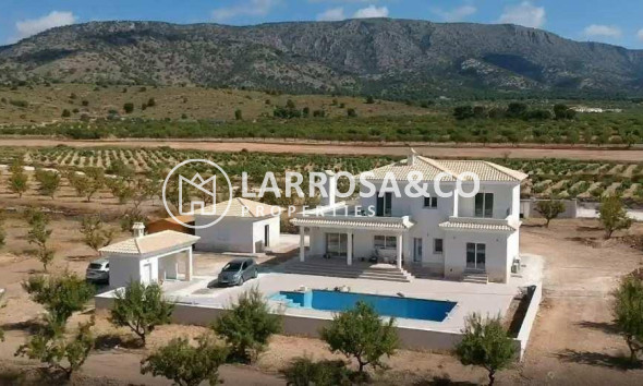 New build - Detached House/Villa - Pinoso - Camino Del Prado