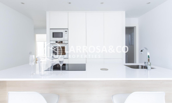 New build - Detached House/Villa - San Javier - Parque de los leones