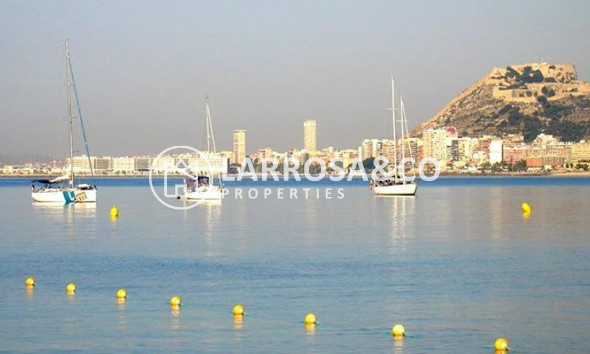 Nouvelle Construction - Apartment - El Verger