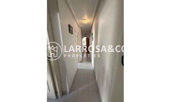 Reventa - Apartamento - Torrevieja - Acequion