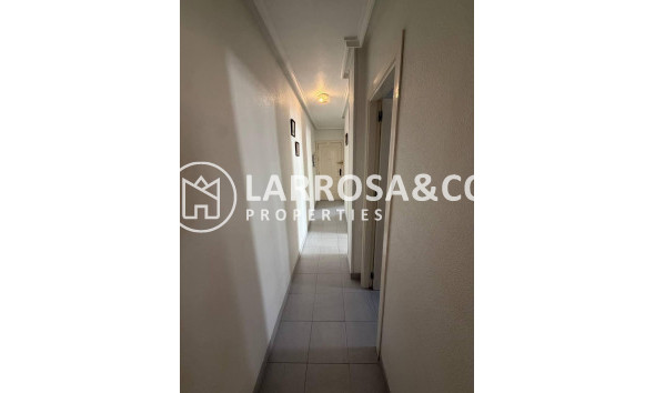 Reventa - Apartamento - Torrevieja - Acequion