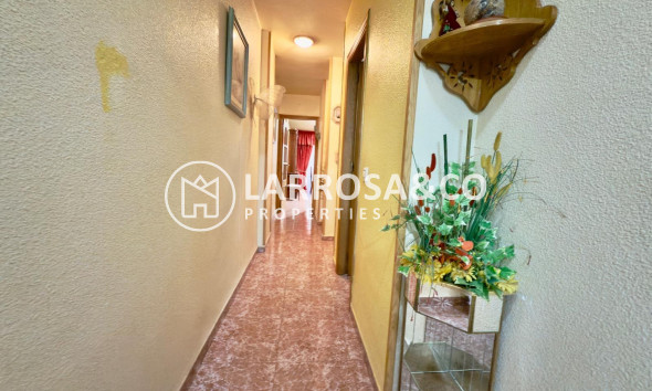 Resale - Apartment - Torrevieja - Acequion