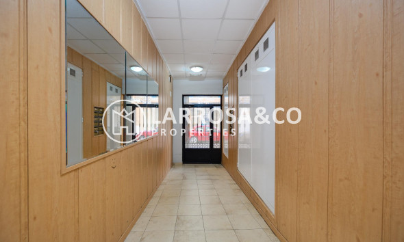 Вторичный рынок - Квартира - Торревьеха - Playa del cura