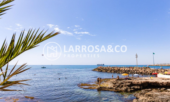 Вторичный рынок - Квартира - Торревьеха - Playa del cura