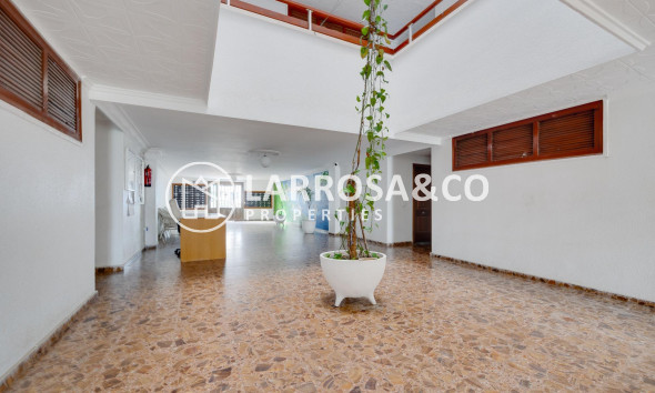 Reventa - Apartamento - Torrevieja - Punta Prima