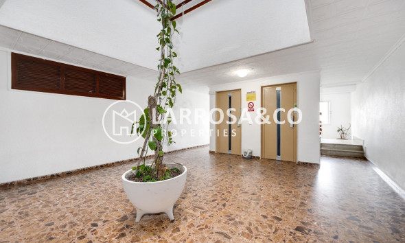 Reventa - Apartamento - Torrevieja - Punta Prima