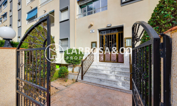 Reventa - Apartamento - Torrevieja - Punta Prima