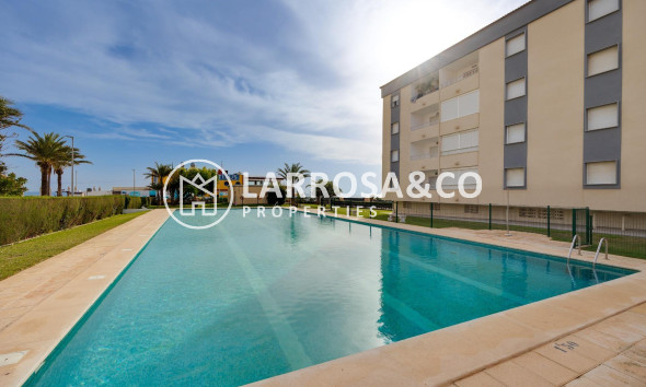 Reventa - Apartamento - Torrevieja - Punta Prima