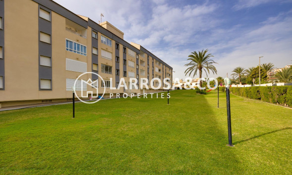 Reventa - Apartamento - Torrevieja - Punta Prima