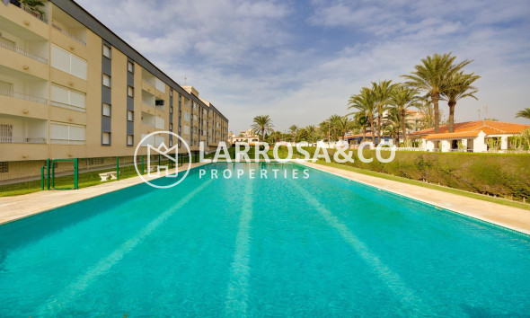 Reventa - Apartamento - Torrevieja - Punta Prima