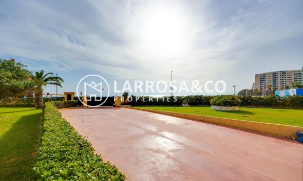 Reventa - Apartamento - Torrevieja - Punta Prima