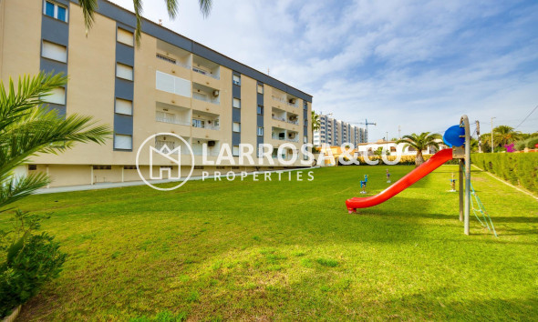 Reventa - Apartamento - Torrevieja - Punta Prima