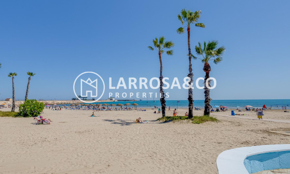 Resale - Apartment - Torrevieja - Acequion