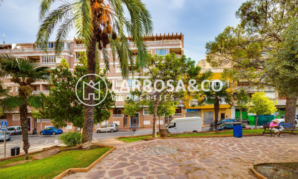 Herverkoop - Apartment - Torrevieja - Playa del cura