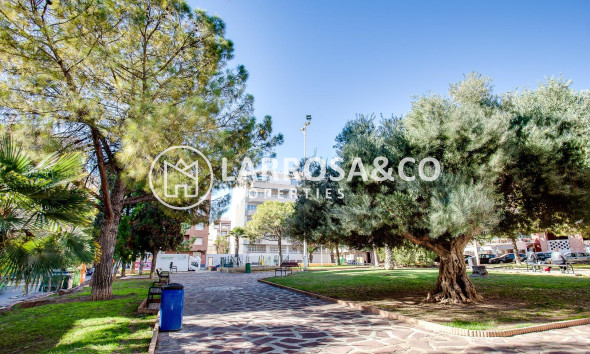 Herverkoop - Apartment - Torrevieja - Playa del cura