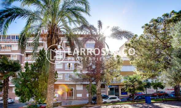 Herverkoop - Apartment - Torrevieja - Playa del cura