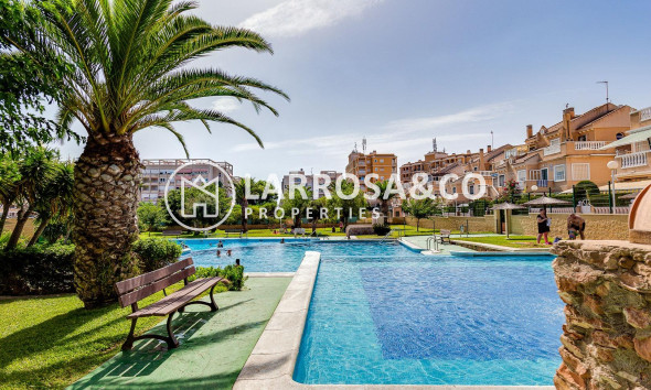 Herverkoop - Bungalow - Torrevieja - Torreblanca