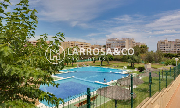 Herverkoop - Bungalow - Torrevieja - Torreblanca