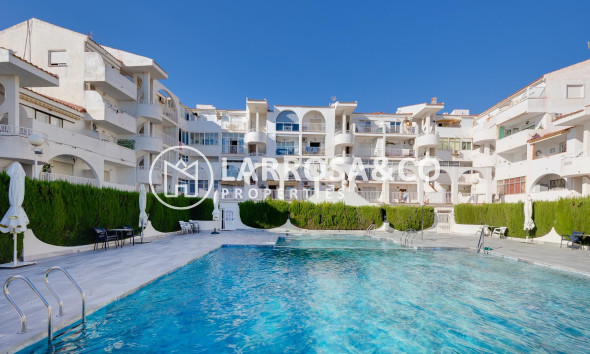 Resale - Apartment - Torrevieja - Torre la mata