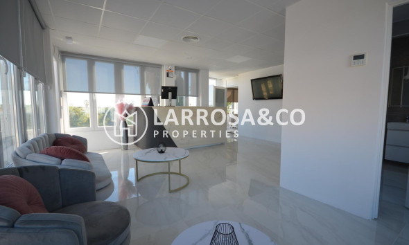 Long Term Rentals - Business - Ciudad Quesada - Lo pepin