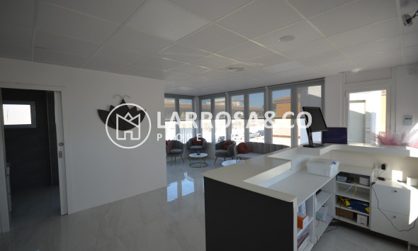 Long Term Rentals - Business - Ciudad Quesada - Lo pepin