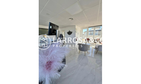 Long Term Rentals - Business - Ciudad Quesada - Lo pepin