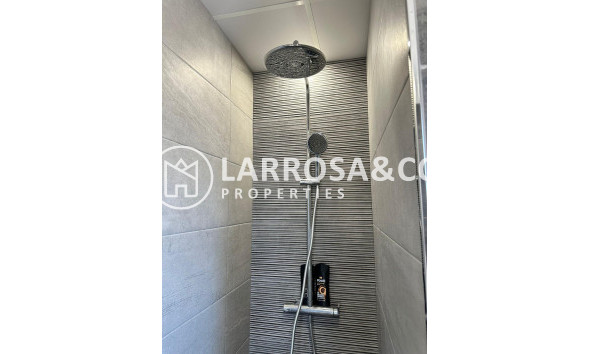 Long Term Rentals - Business - Ciudad Quesada - Lo pepin