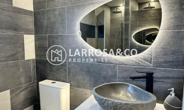 Long Term Rentals - Business - Ciudad Quesada - Lo pepin