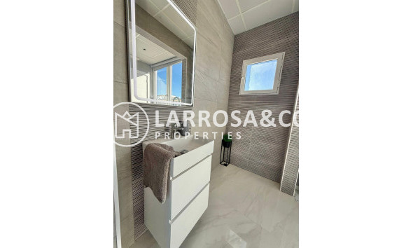 Long Term Rentals - Business - Ciudad Quesada - Lo pepin