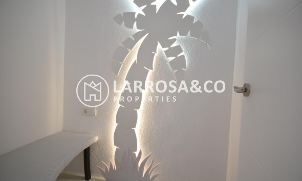 Long Term Rentals - Business - Ciudad Quesada - Lo pepin