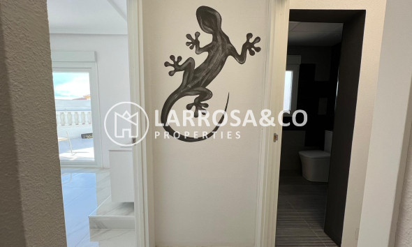 Long Term Rentals - Business - Ciudad Quesada - Lo pepin