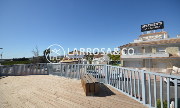 Long Term Rentals - Business - Ciudad Quesada - Lo pepin