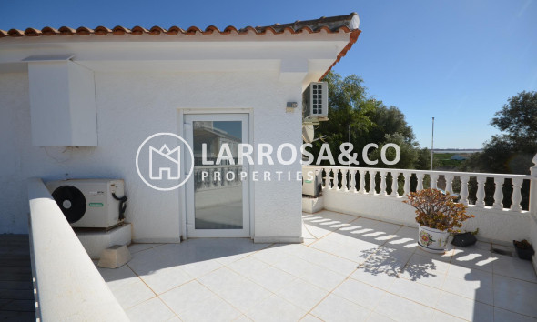 Long Term Rentals - Business - Ciudad Quesada - Lo pepin