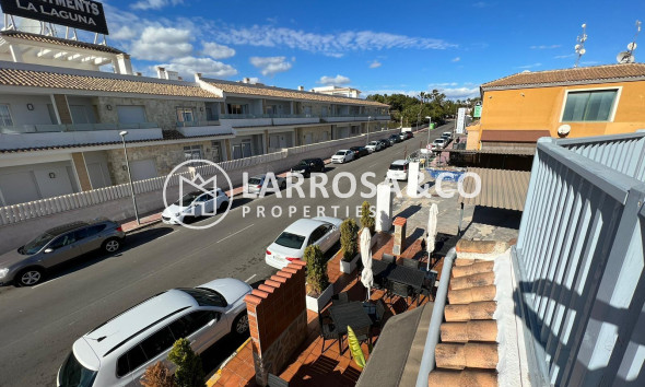 Long Term Rentals - Business - Ciudad Quesada - Lo pepin