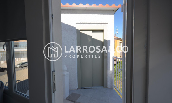 Long Term Rentals - Business - Ciudad Quesada - Lo pepin