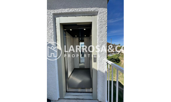 Long Term Rentals - Business - Ciudad Quesada - Lo pepin